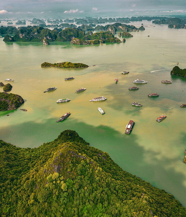 Hanoi and Saigon in 9 days - PHD Tour - Ha Long