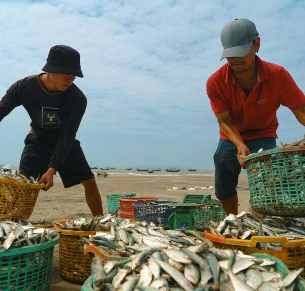 Vung Tau highlights - PHD Tour - banh khot